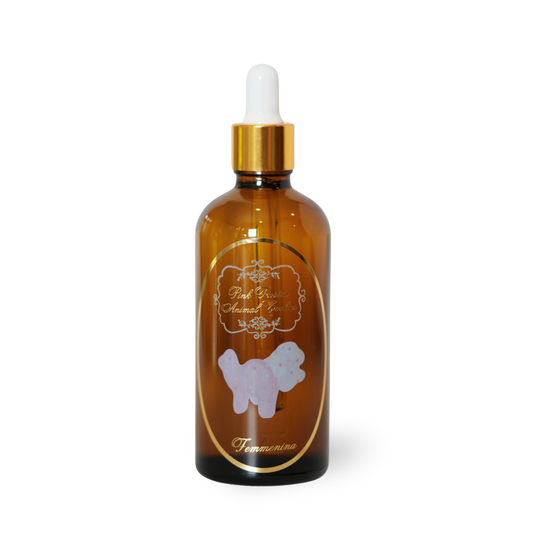 Pink Frosted Cookies Body Oil